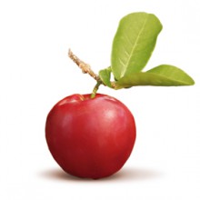 Acerola